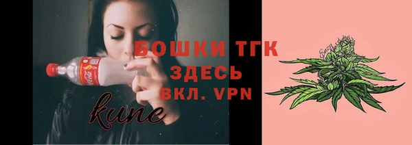 молекула духа Алексеевка