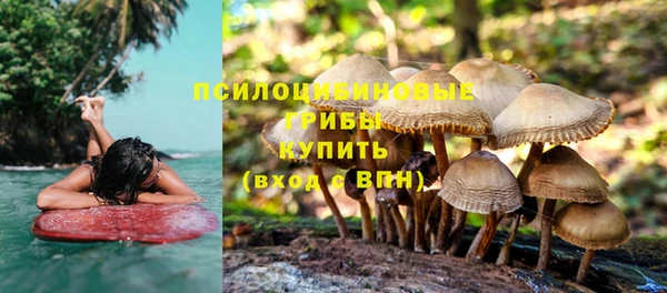 молекула духа Алексеевка